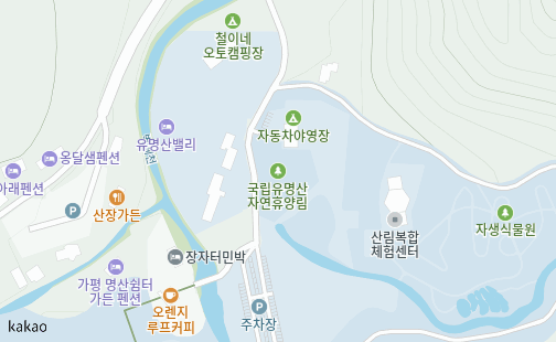 mapservice?FORMAT=PNG&SCALE=2.5&MX=608420&MY=1137328&S=0&IW=504&IH=310&LANG=0&COORDSTM=WCONGNAMUL&logo=kakao_logo
